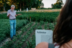 20230707_Kuhbohne_BioStadt-Weltacker-LA©TinoGrafiert