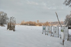 20231204_Weltacker_Winter