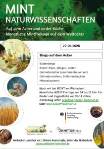 Mint-Flyer